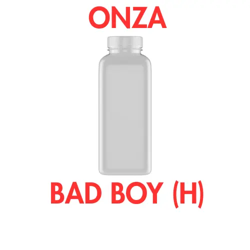 ONZA - BAD BOY (H)