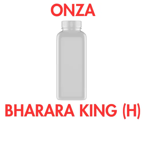 ONZA - BHARARA KING (H)